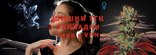 ПСИЛОЦИБИНОВЫЕ ГРИБЫ Горнозаводск