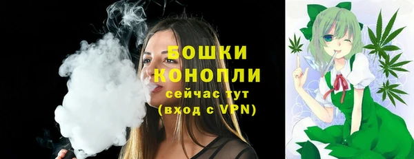 ПСИЛОЦИБИНОВЫЕ ГРИБЫ Горнозаводск