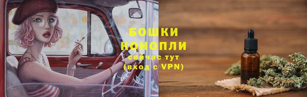 ПСИЛОЦИБИНОВЫЕ ГРИБЫ Горнозаводск