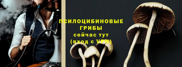 скорость Горняк