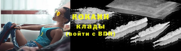 ПСИЛОЦИБИНОВЫЕ ГРИБЫ Горнозаводск