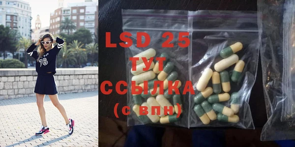 ПСИЛОЦИБИНОВЫЕ ГРИБЫ Горнозаводск