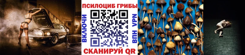 Псилоцибиновые грибы Psilocybine cubensis  Евпатория 